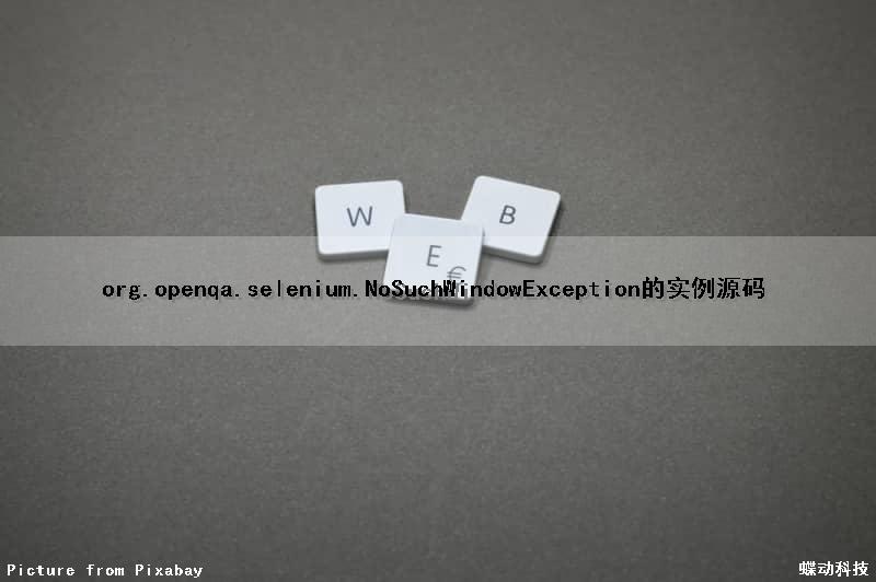 org.openqa.selenium.NoSuchWindowException的实例源码
