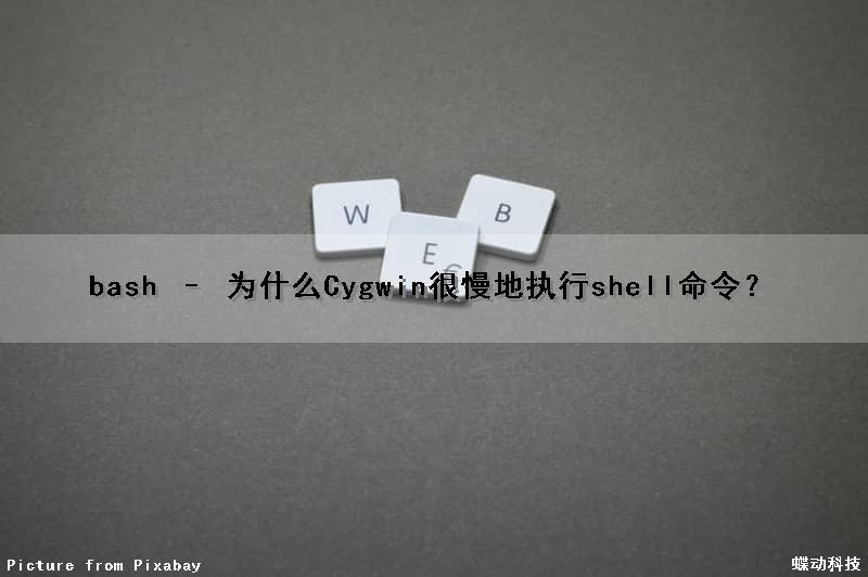 bash – 为什么Cygwin很慢地执行shell命令？
