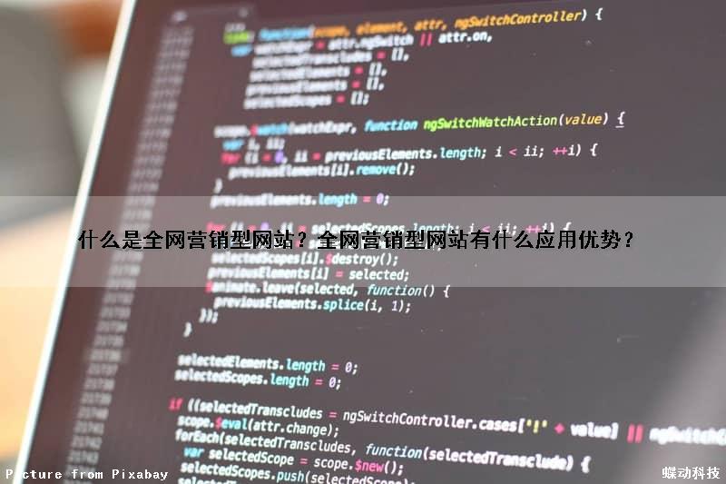 什么是全网营销型网站？全网营销型网站有什么应用优势？