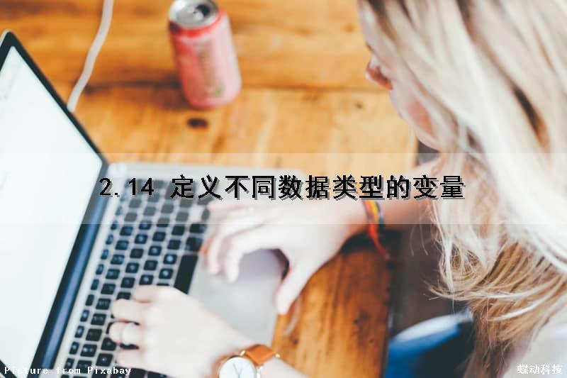 2.14 定义不同数据类型的变量