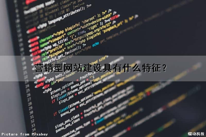 营销型网站建设具有什么特征？（营销型网站建设具有什么特征呢）