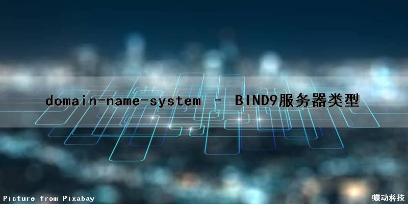 domain-name-system – BIND9服务器类型