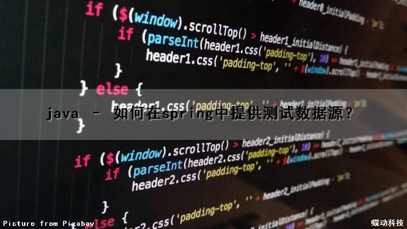 java – 如何在spring中提供测试数据源？