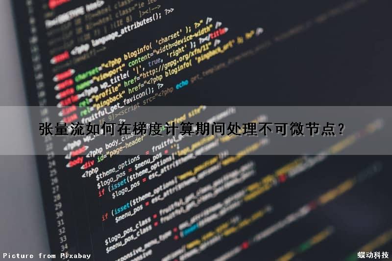 张量流如何在梯度计算期间处理不可微节点？（张量流如何在梯度计算期间处理不可微节点的数据）