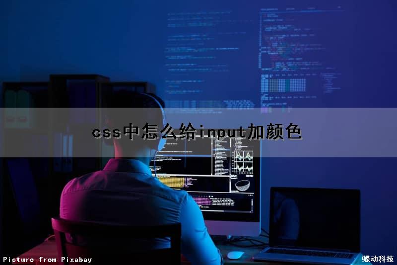 css中怎么给input加颜色（css设置input字体颜色）