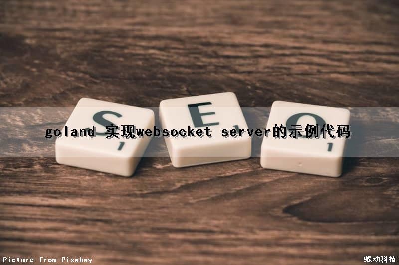 goland 实现websocket server的示例代码