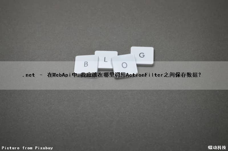 .net – 在WebApi中,我应该在哪里调用ActionFilter之间保存数据？（调用webapi接口实例）