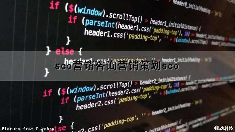 seo营销咨询(营销策划seo)