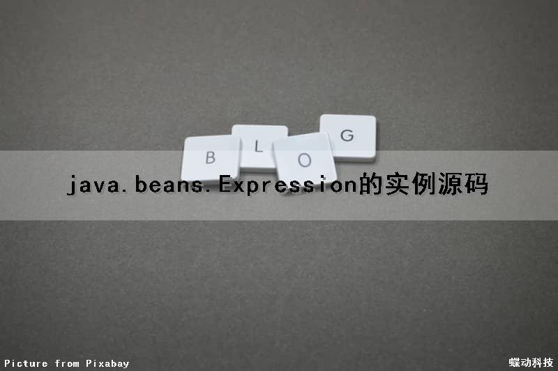 java.beans.Expression的实例源码（java.beans.introspection）