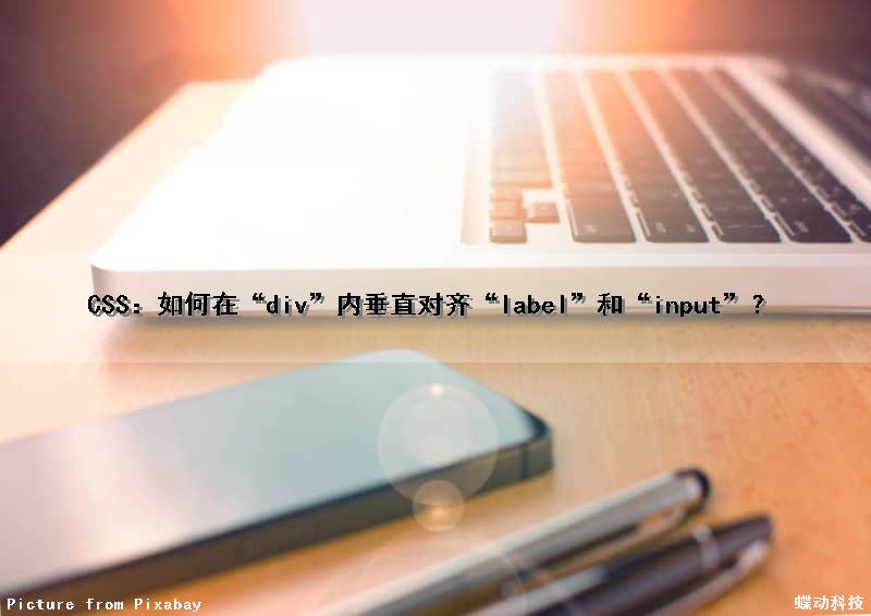 CSS：如何在“div”内垂直对齐“label”和“input”？