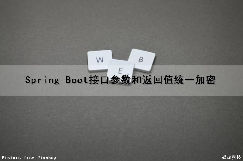 Spring Boot接口参数和返回值统一加密