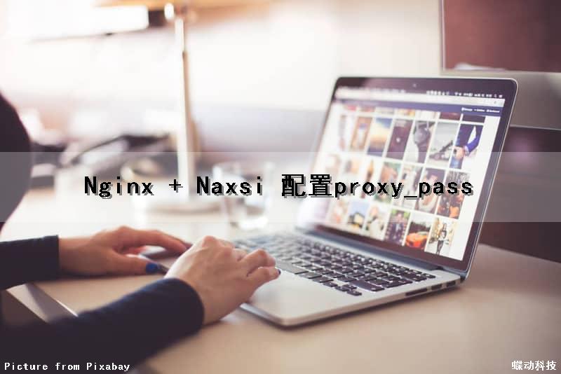 Nginx + Naxsi 配置（proxy_pass）