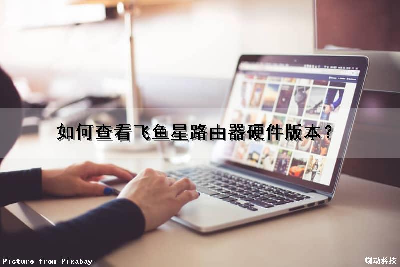 如何查看飞鱼星路由器硬件版本？