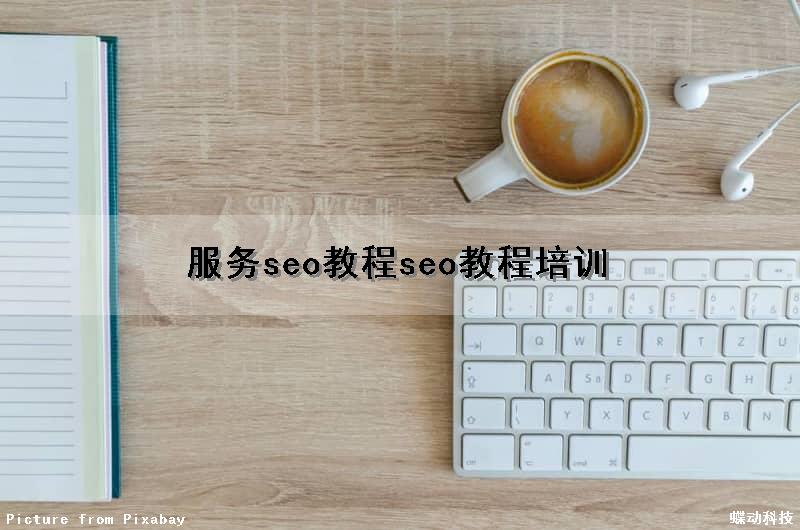 服务seo教程(seo教程培训)（seo服务内容）