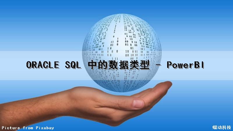 ORACLE SQL 中的数据类型 - PowerBI