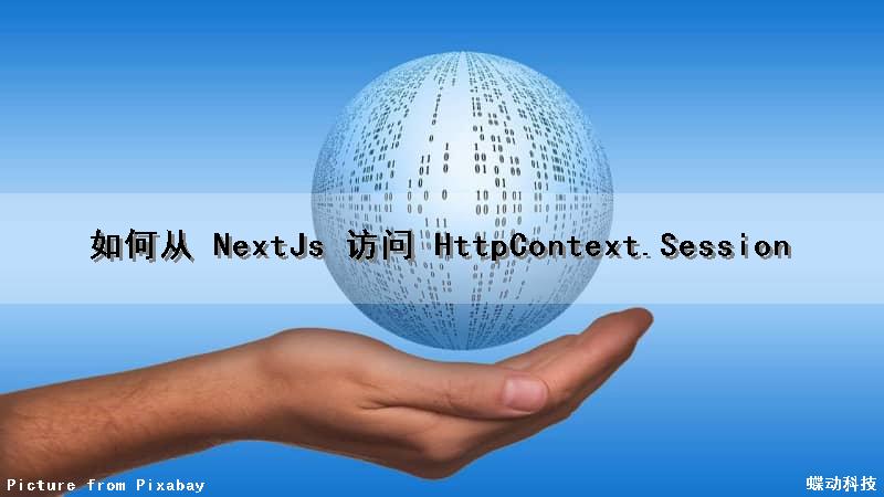 如何从 NextJs 访问 HttpContext.Session