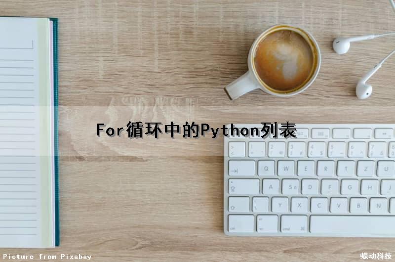 For循环中的Python列表