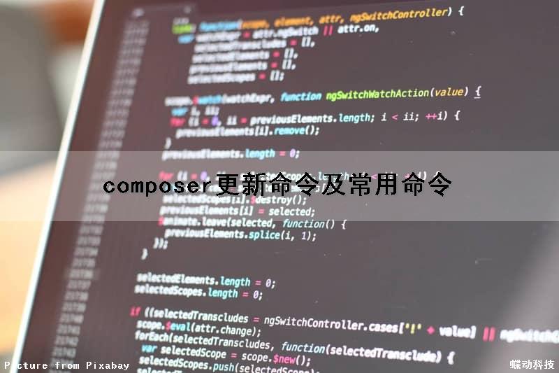 composer更新命令及常用命令