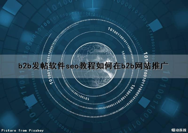 b2b发帖软件seo教程(如何在b2b网站推广)
