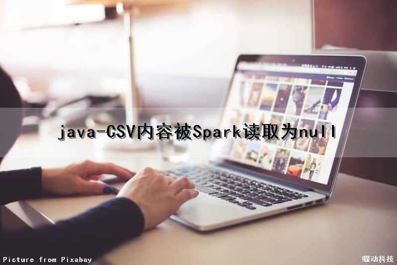 java-CSV内容被Spark读取为null