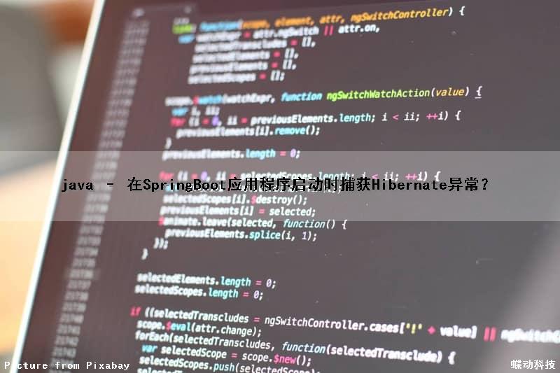 java – 在SpringBoot应用程序启动时捕获Hibernate异常？