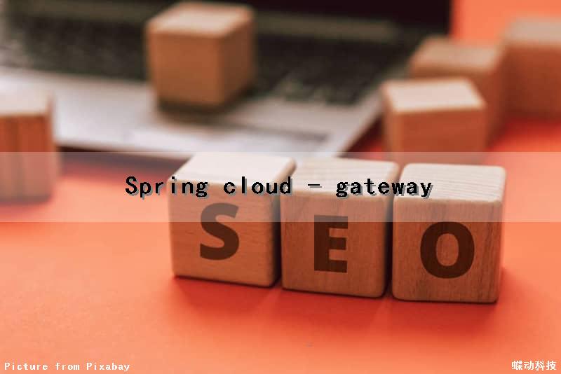 Spring cloud - gateway