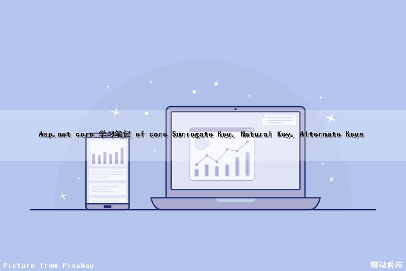 Asp.net core 学习笔记 ef core Surrogate Key, Natural Key, Alternate Keys