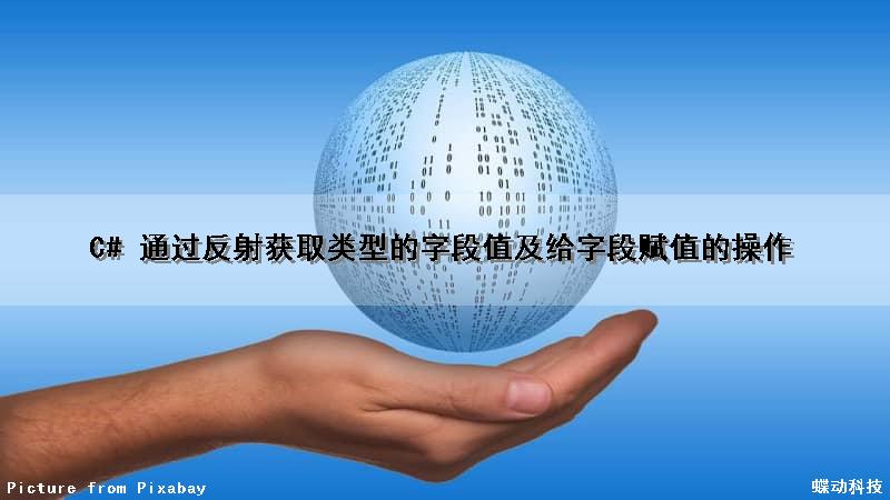 C# 通过反射获取类型的字段值及给字段赋值的操作