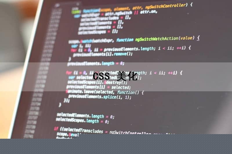 CSS 美化