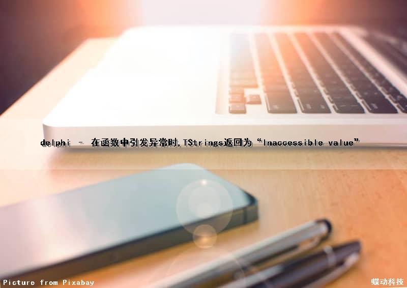 delphi – 在函数中引发异常时,TStrings返回为“Inaccessible value”