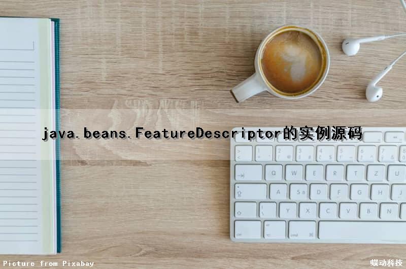 java.beans.FeatureDescriptor的实例源码
