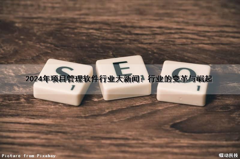 2024年项目管理软件行业大新闻：行业的变革与崛起