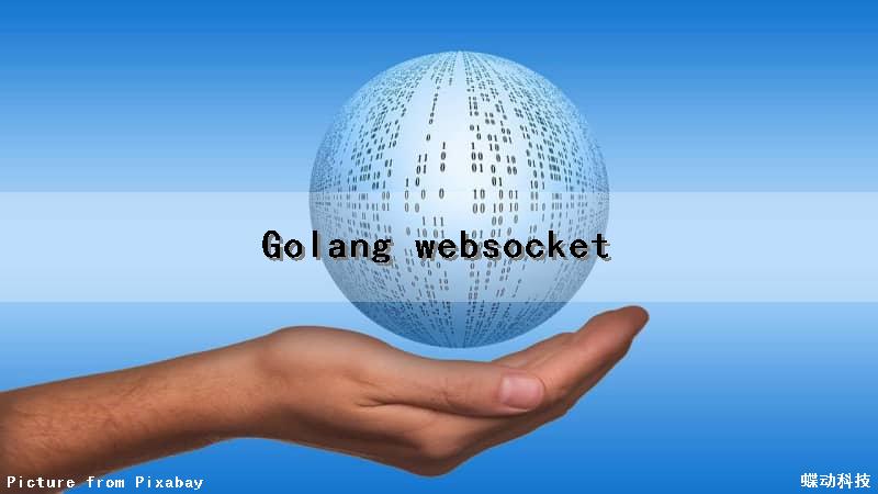 Golang websocket