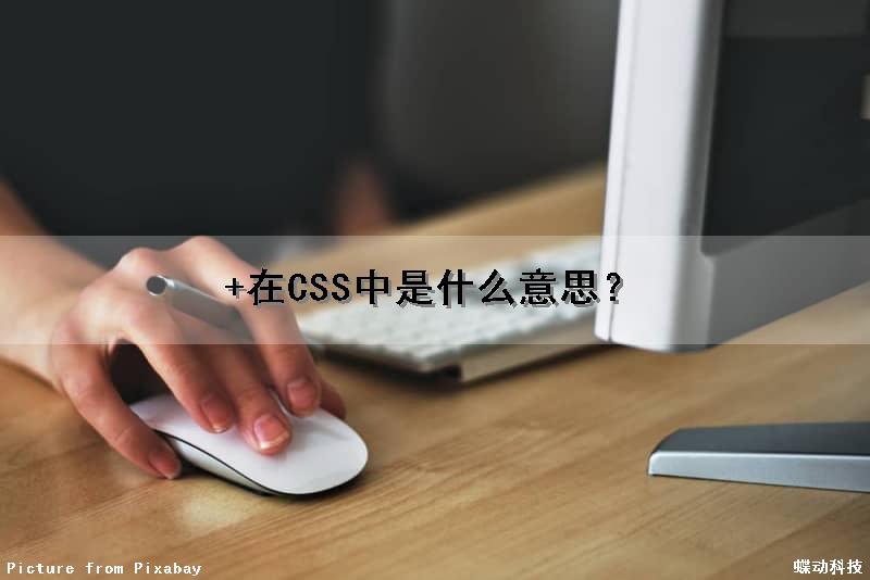 +在CSS中是什么意思？