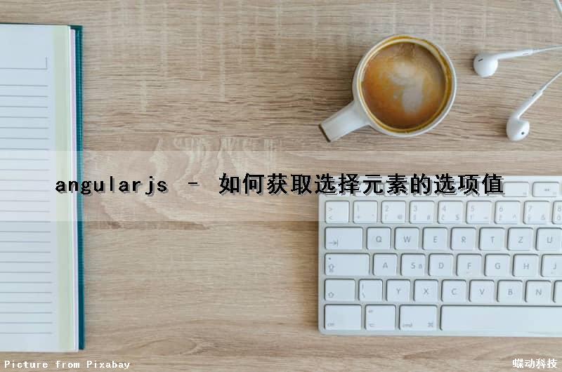 angularjs – 如何获取选择元素的选项值