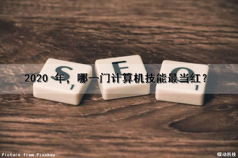 2020 年，哪一门计算机技能最当红？