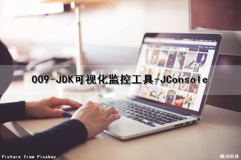 009-JDK可视化监控工具-JConsole