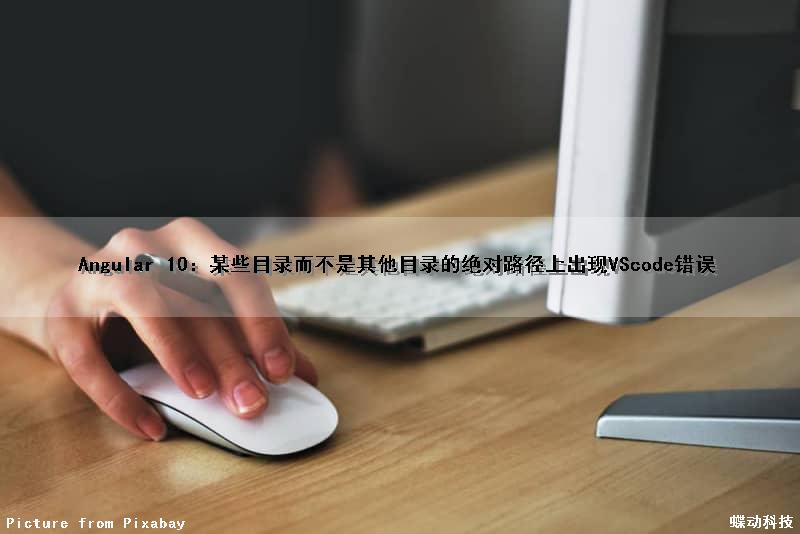 Angular 10：某些目录而不是其他目录的绝对路径上出现VScode错误