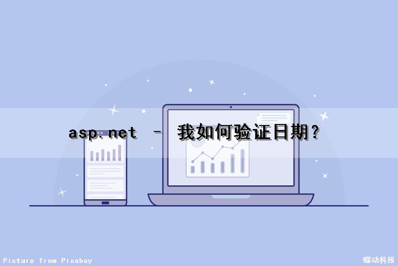 asp.net – 我如何验证日期？