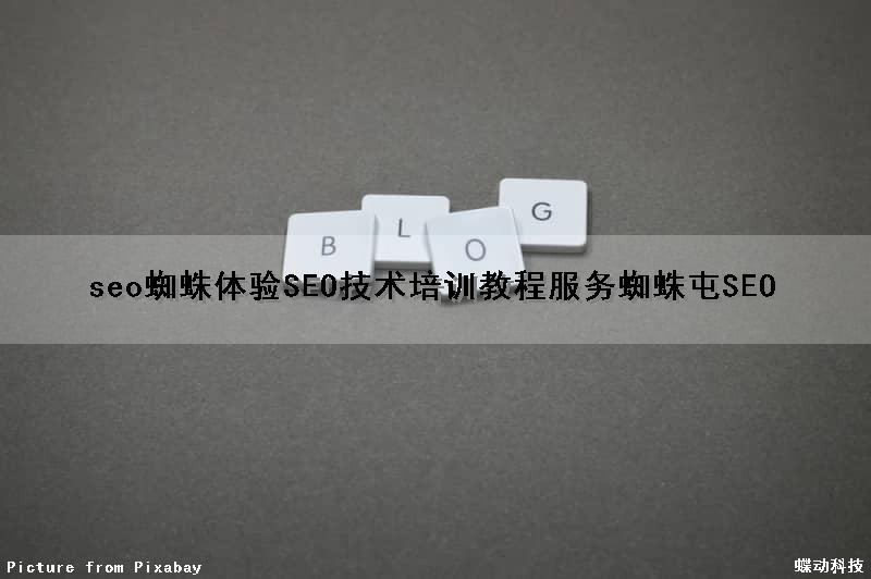 seo蜘蛛体验(SEO技术培训教程服务蜘蛛屯SEO)