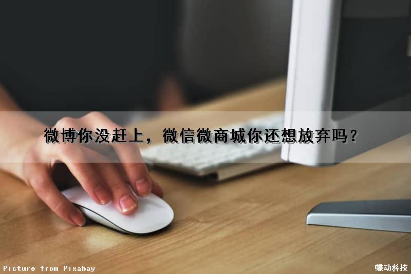微博你没赶上，微信微商城你还想放弃吗？（微商为什么在微信而没有在微博）