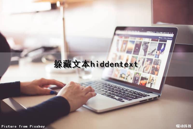 躲藏文本（hiddentext）（躲避文字）