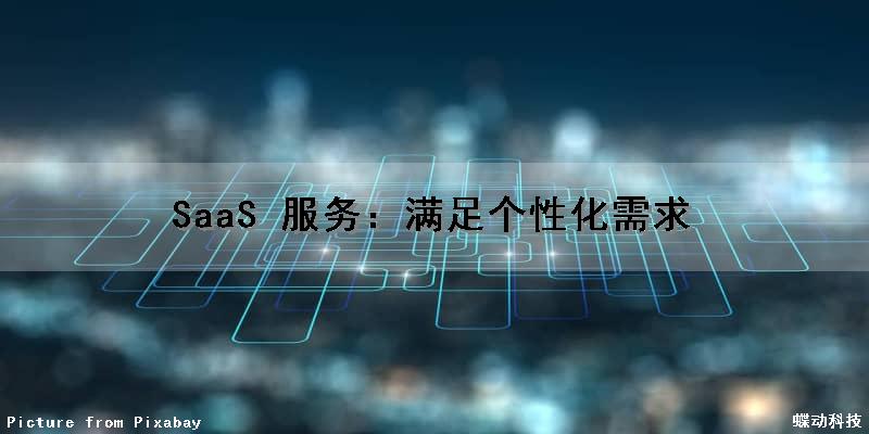 SaaS 服务：满足个性化需求