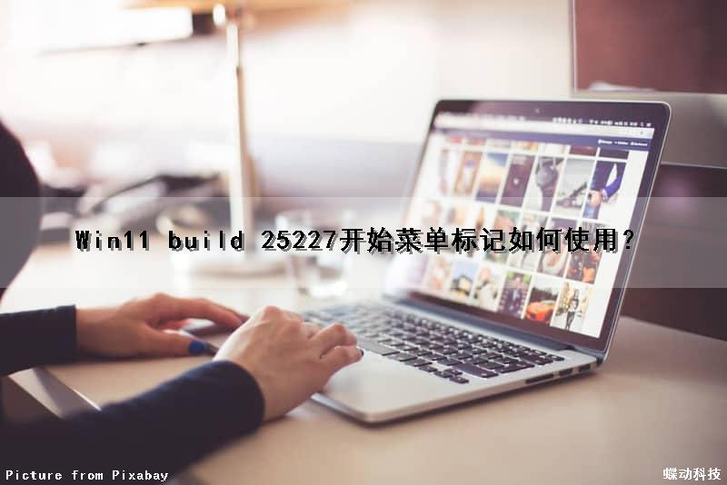 Win11 build 25227开始菜单标记如何使用？