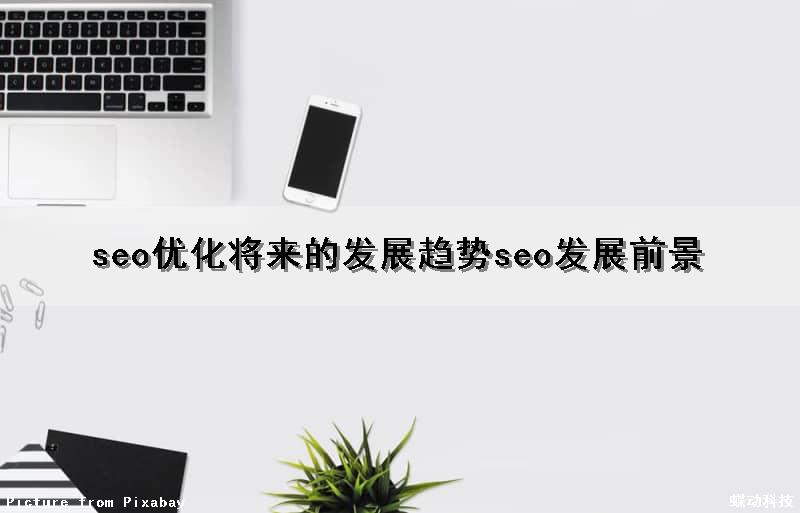 seo优化将来的发展趋势(seo发展前景)