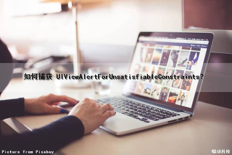 如何捕获 UIViewAlertForUnsatisfiableConstraints？（如何捕获绿叶蜥）