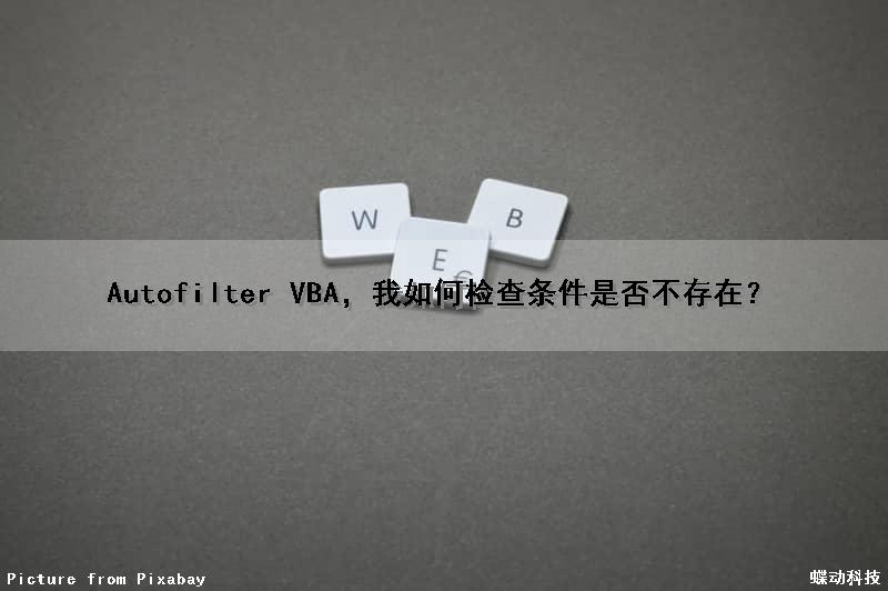 Autofilter VBA，我如何检查条件是否不存在？
