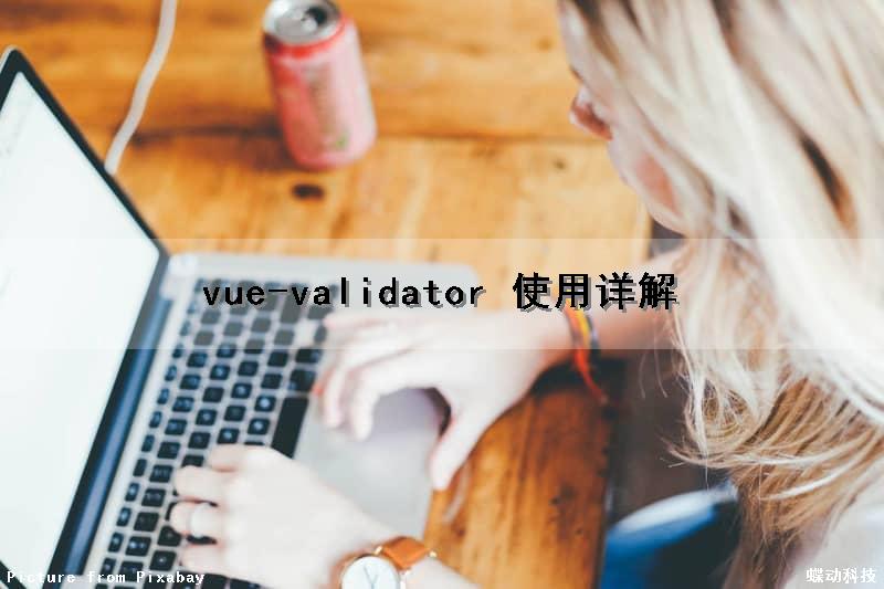 vue-validator 使用详解（vue中validator方法）