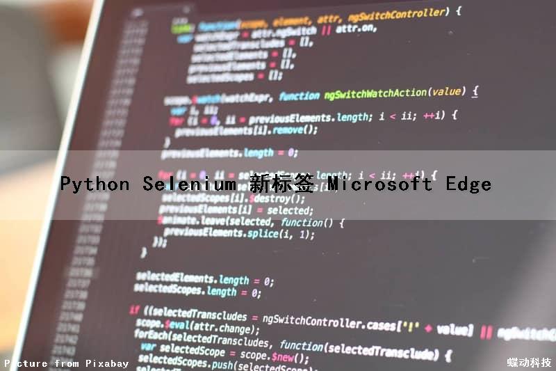 Python Selenium 新标签 Microsoft Edge