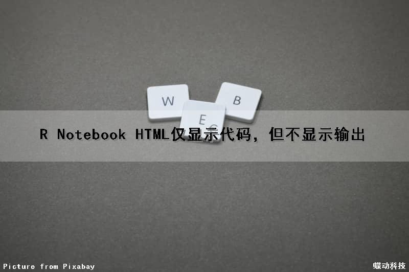 R Notebook HTML仅显示代码，但不显示输出